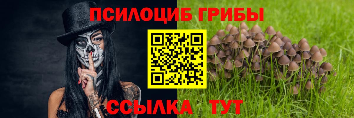 Галлюциногенные грибы Magic Shrooms  Псилоцибиновые грибы мухоморы  Вход с VPN  Электросталь 