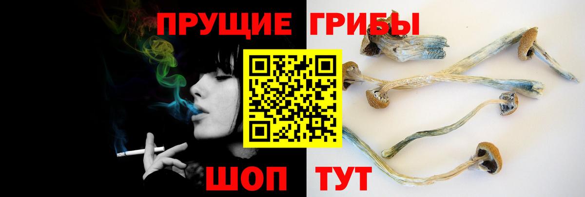 Галлюциногенные грибы GOLDEN TEACHER Электросталь